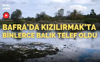 Bafra’da Kızılırmak’ta Binlerce Balık Telef Oldu