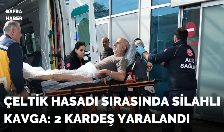 Bafra’da çeltik hasadında silahlıkavga: 2 kardeş yaralandı