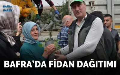 Bafra’da fidan dağıtımı