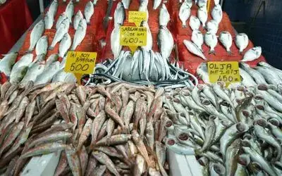 Samsun’da balık fiyatlarında son durum
