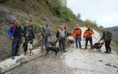 Samsun’da domuz alarmı: Avcılığa "takoz" engeli

