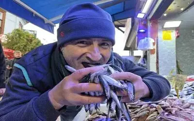Hamsi revaçta
