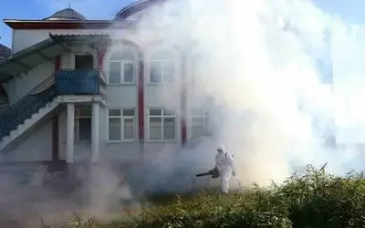 Kahverengi kokarca kışlak mücadelesi sürüyor
