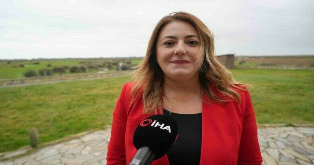 Türkiye’de manda popülasyonu tehdit altında
