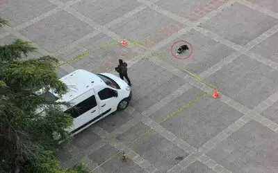 Köpekten örnek davranış: Polis şeridini ihlal etmedi
