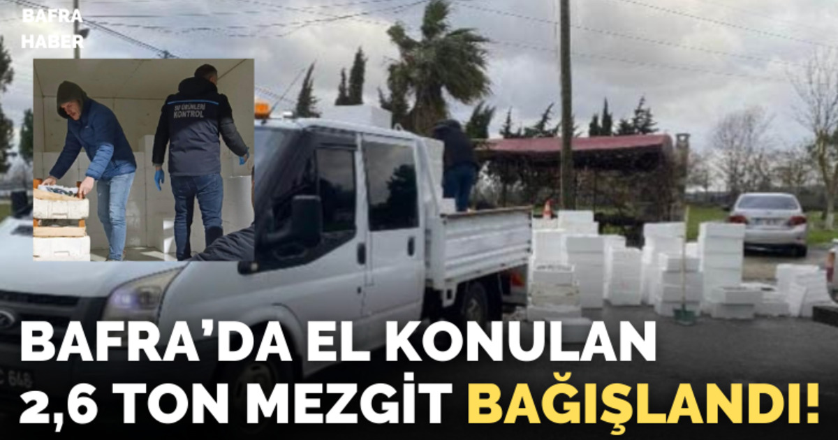 Bafra'da kaçak avlanan 2,6 ton mezgite el konuldu