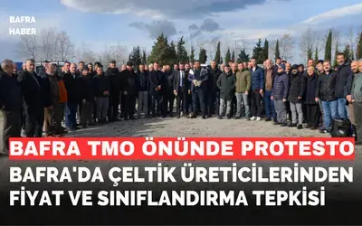 Bafra'da Çeltik Üreticilerinden Fiyat Ve Sınıflandırma Tepkisi