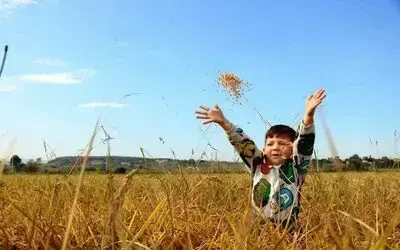 Samsun’da tarımsal üretime 6 milyara yakın destek ödemesi yapıldı
