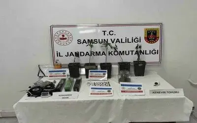 Jandarmadan uyuşturucu operasyonu
