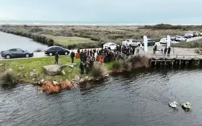 Yaralı pelikanlar tedavilerinin ardından doğaya salındı
