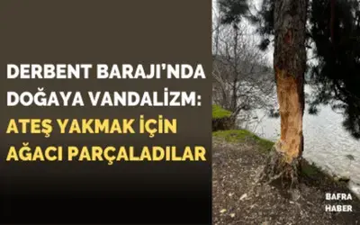 Derbent Barajı’nda Doğaya Vandalizm: Ateş Yakmak İçin Ağacı Parçaladılar