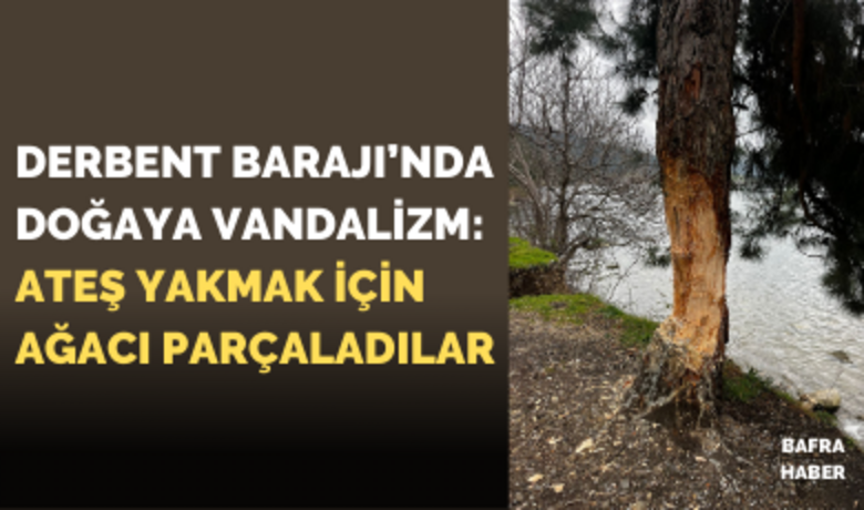 Derbent Barajı’nda Doğaya Vandalizm: Ateş Yakmak İçin Ağacı Parçaladılar