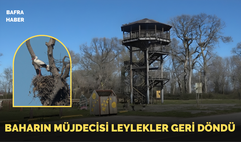 Leylekler baharın müjdesiyle geri döndü