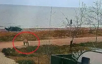 Polisten kaçan 16 yıllık hükümlü yere düşünce yakalandı
