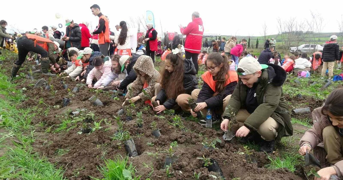 Bafra’da minik eller 3 bin fidanı toprakla buluşturdu
