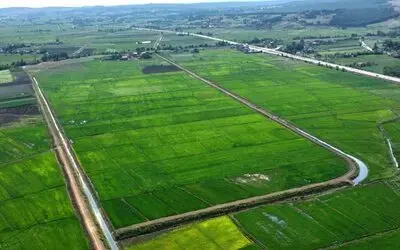 Samsun’da bozulan tarım arazileri cezasız kalmadı: 48 işlem uygulandı

