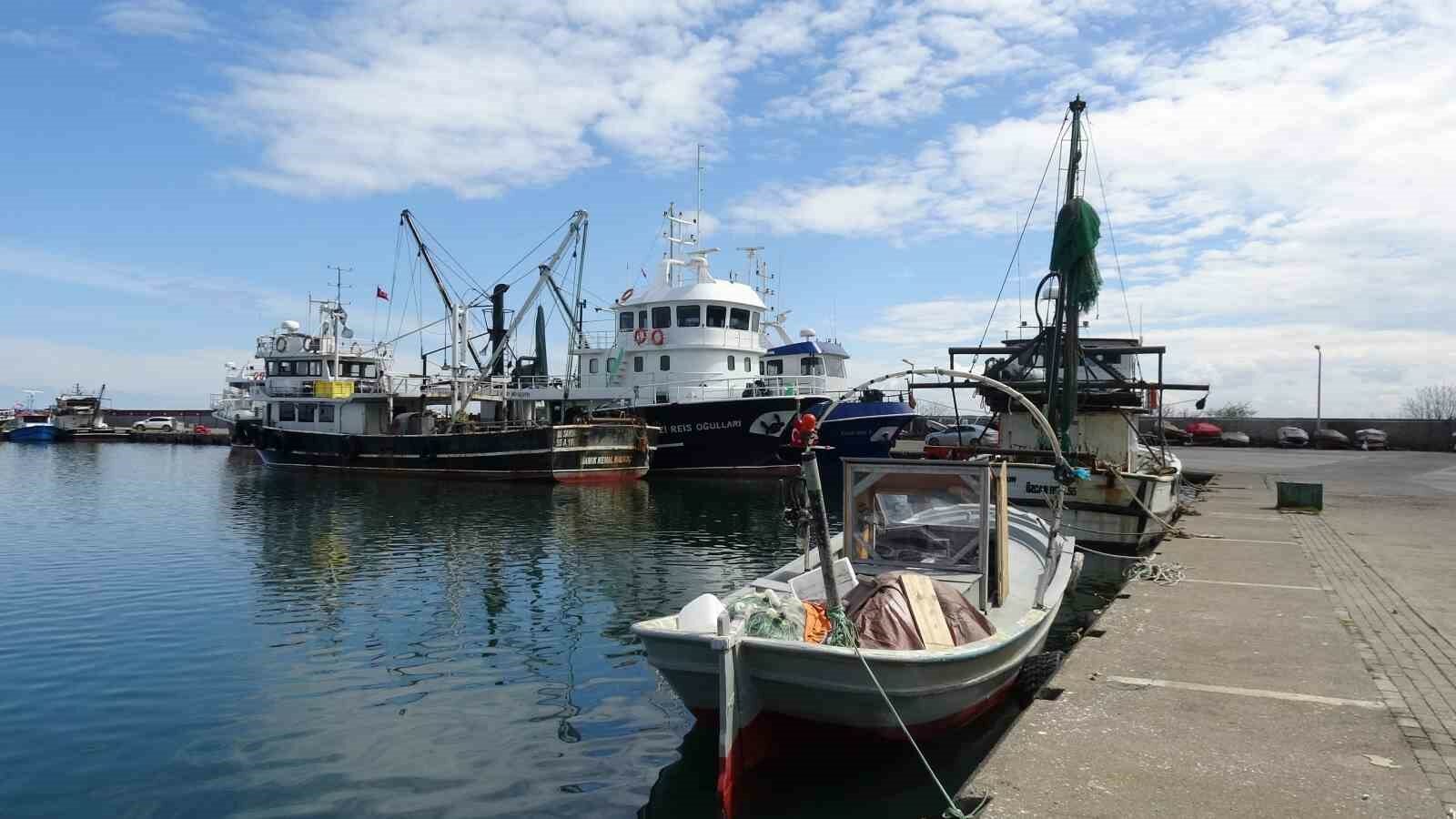 Balıkta bereketli sezon: "Halkbu yıl balığa doydu"