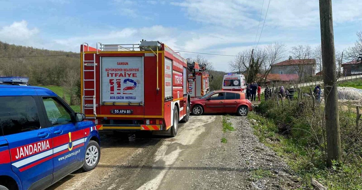 Kestiği ağaç canına mal oluyordu: Ağır yaralandı