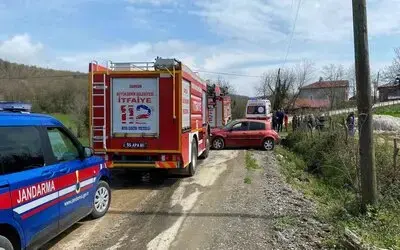 Kestiği ağaç canına mal oluyordu: Ağır yaralandı