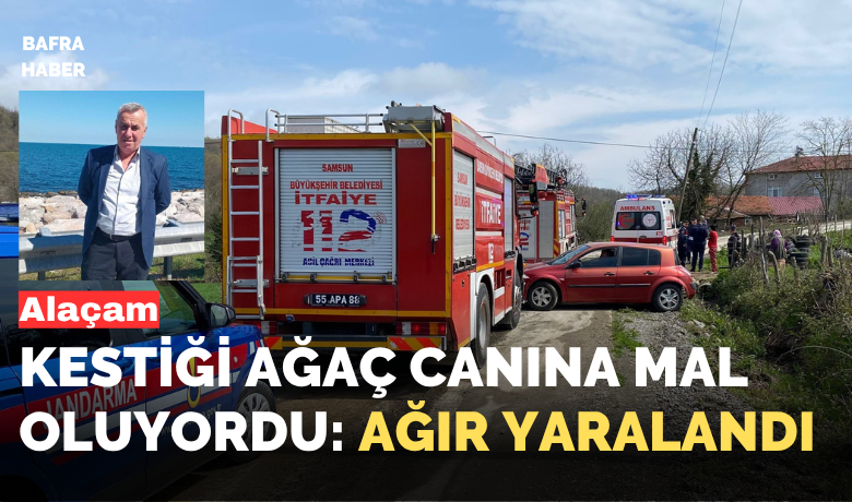 Kestiği ağaç canına mal oluyordu: Ağır yaralandı