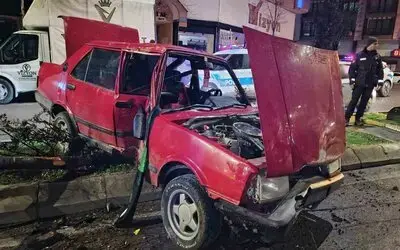 Otomobilin çarptığı ağaç karşı şeritteki aracın üzerine devrildi: 1 yaralı
