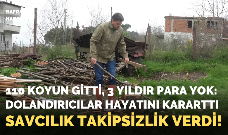110 koyun gitti, 3 yıldırpara yok: Dolandırıcılar hayatını kararttı