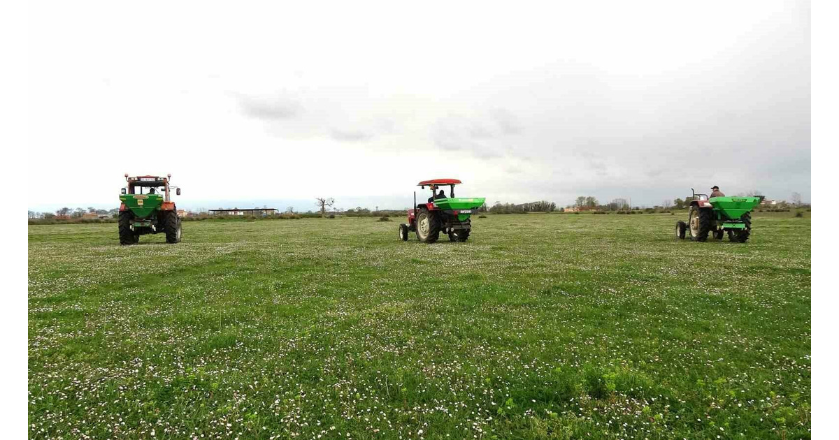 Samsun’da meralarda ıslah çalışmaları sürüyor
