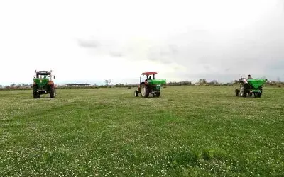 Samsun’da meralarda ıslah çalışmaları sürüyor

