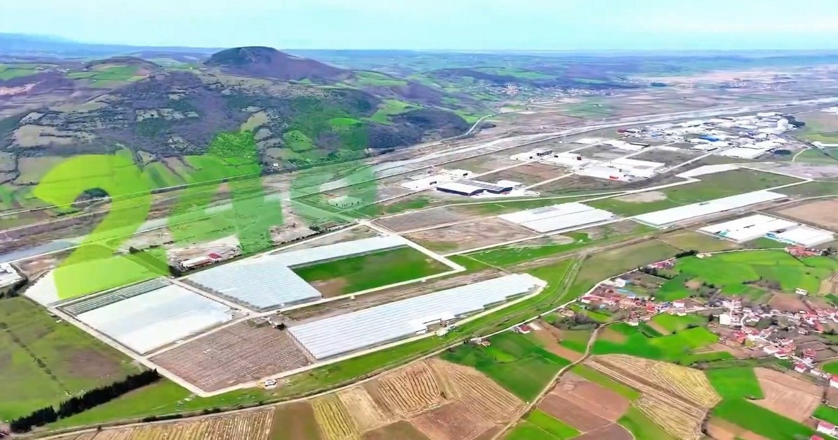 Modern tarımın yeni adresi Bafra
