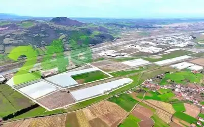 Modern tarımın yeni adresi Bafra
