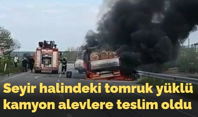 Seyir halindeki tomruk yüklükamyon alevlere teslim oldu