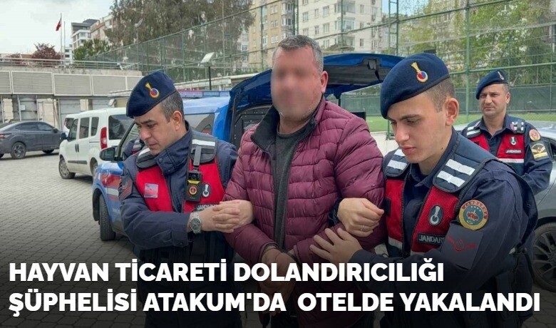 Hayvan ticareti dolandırıcılığışüphelisi Atakum'da otelde yakalandı