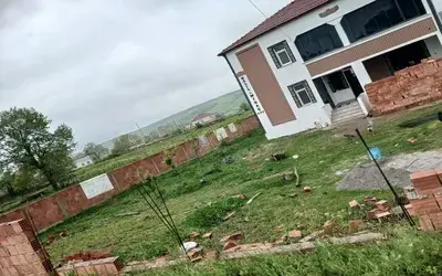 Gece Duvara Çarpıp Kaçtı: Ev Sahibi Sabah Fark Etti
