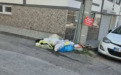 Bafra’da Çöp Tepkisi: “balkon Altına Atılıyor, Koku Ve Sinekten Durulmuyor”