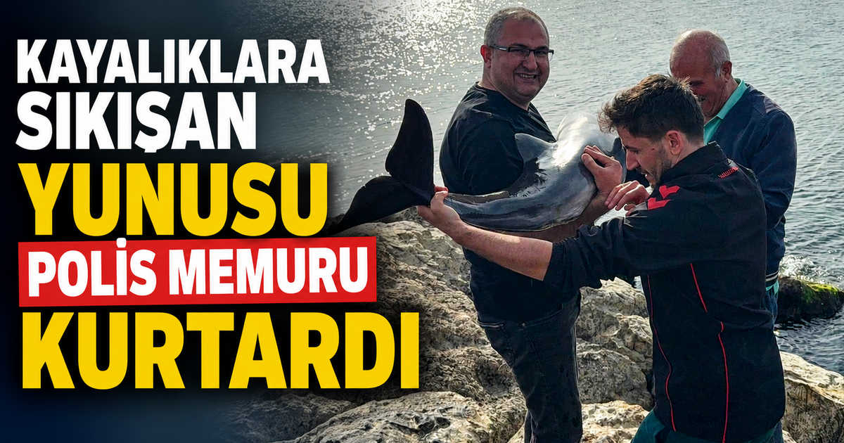 Kayalıklara sıkışan yunusu polis memuru kurtardı
