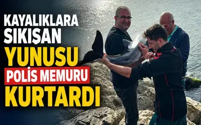 Kayalıklara sıkışan yunusu polis memuru kurtardı

