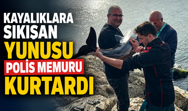 Kayalıklara sıkışan yunusu polis memuru kurtardı