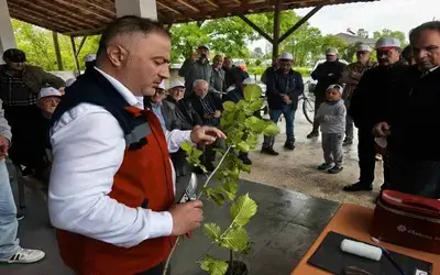 Terme'de Üreticilere "aşılama" Sertifikası
