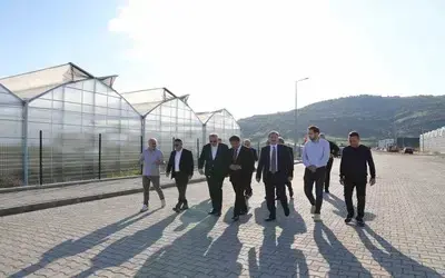 Bafra’da Üretim Ve Kamu Yatırımları Yerinde İncelendi
