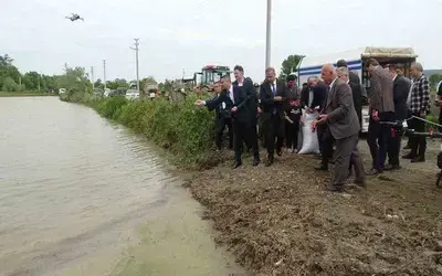 Bafra Ovası’nda Çeltik Mesaisi Başladı: Üretimin Kalbi Yine Bafra
