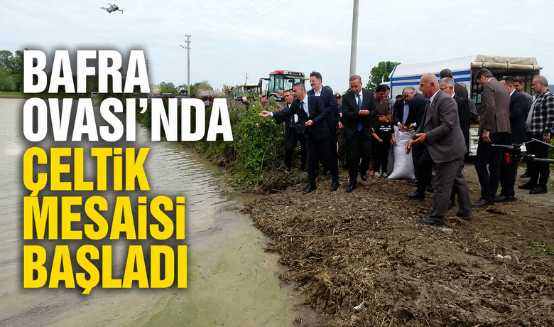 Bafra Ovası’nda Çeltik MesaisiBaşladı: Üretimin Kalbi Yine Bafra
