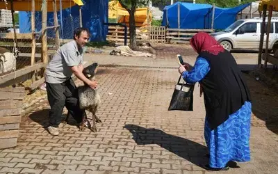Besicilerin Kurbanda Da Mesaisi Sürüyor
