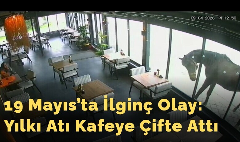 19 Mayıs’ta İlginç Olay:Yılkı Atı Kafeye Çifte Attı
