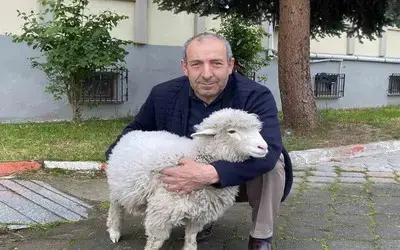 Kavak Adliyesi’nin Sevimli Maskotu: Kuzu Tertip
