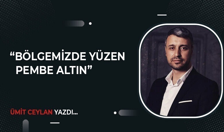 Bölgemizde yüzen "Pembe altın" 