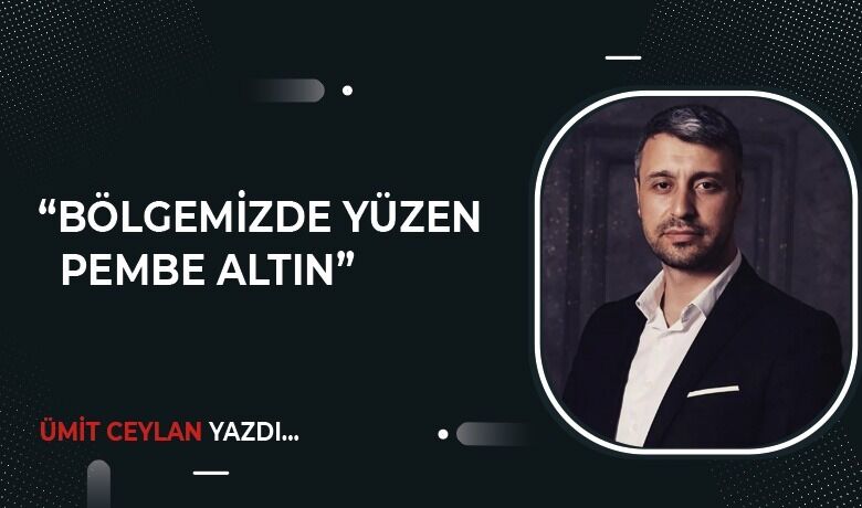 Bolgemizde yuzen pembe altin