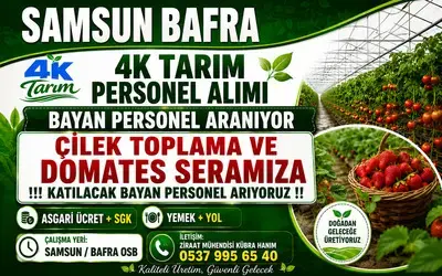 4K Tarım’dan Bafra OSB’de Personel Alımı