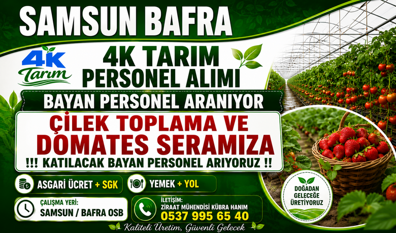 4K Tarım’dan Bafra OSB’de Personel Alımı