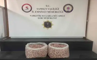 Tırın Yatak Bölümünde 129 Bin 500 Uyuşturucu Hap Ele Geçti
