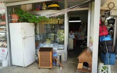 Sokak Kedilerinin Dedesi Yıllardır Kimsesiz Kedilere Sıcak Yuva Oluyor
